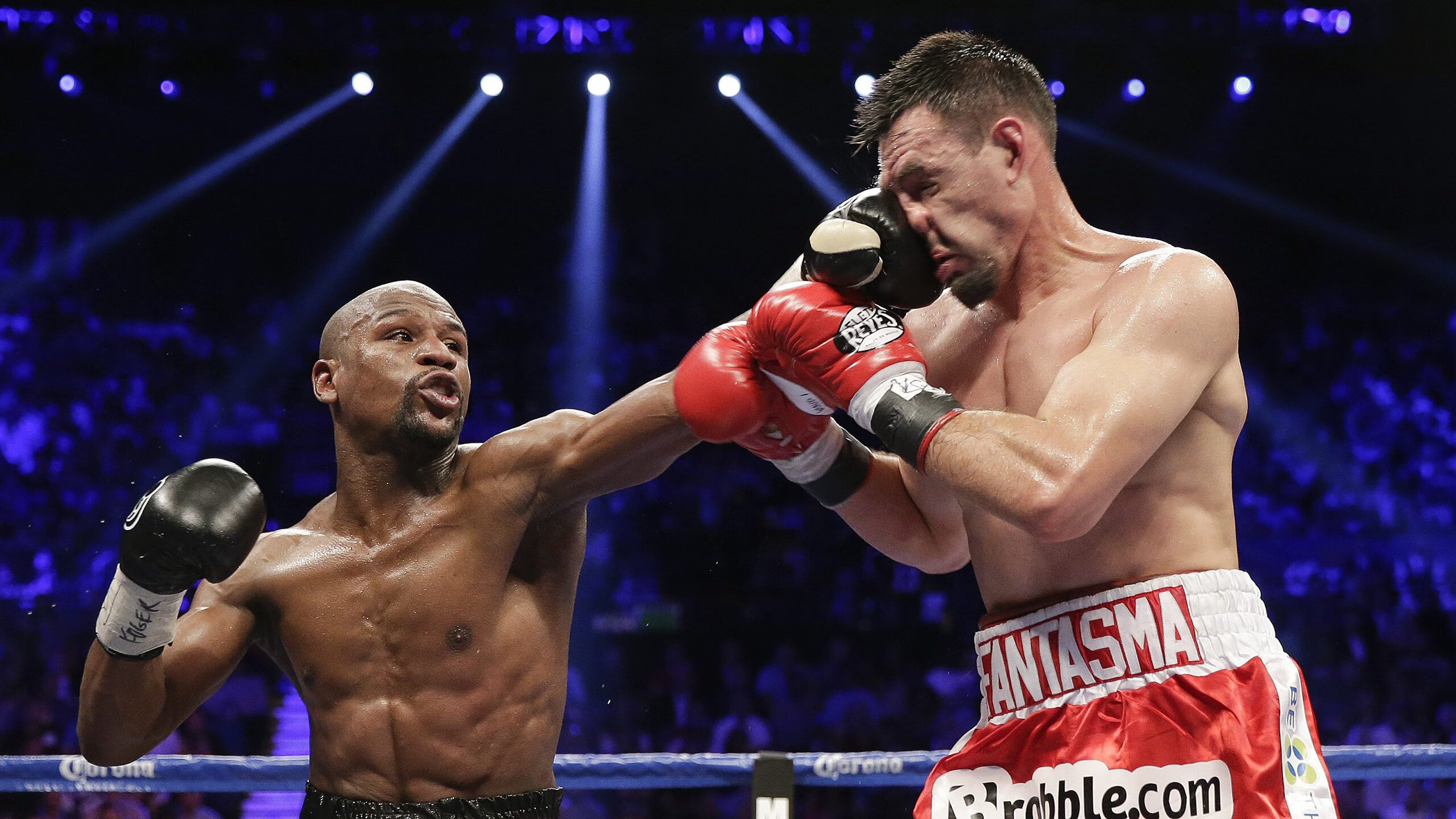 篮球运动员专项体能训练课程体系构建及科学实施研究，篮球运动专项体能训练的研究